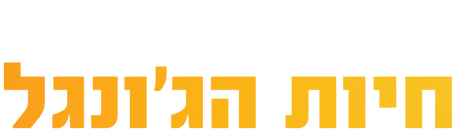 עולם הנסתר של חיות הגונגל.png